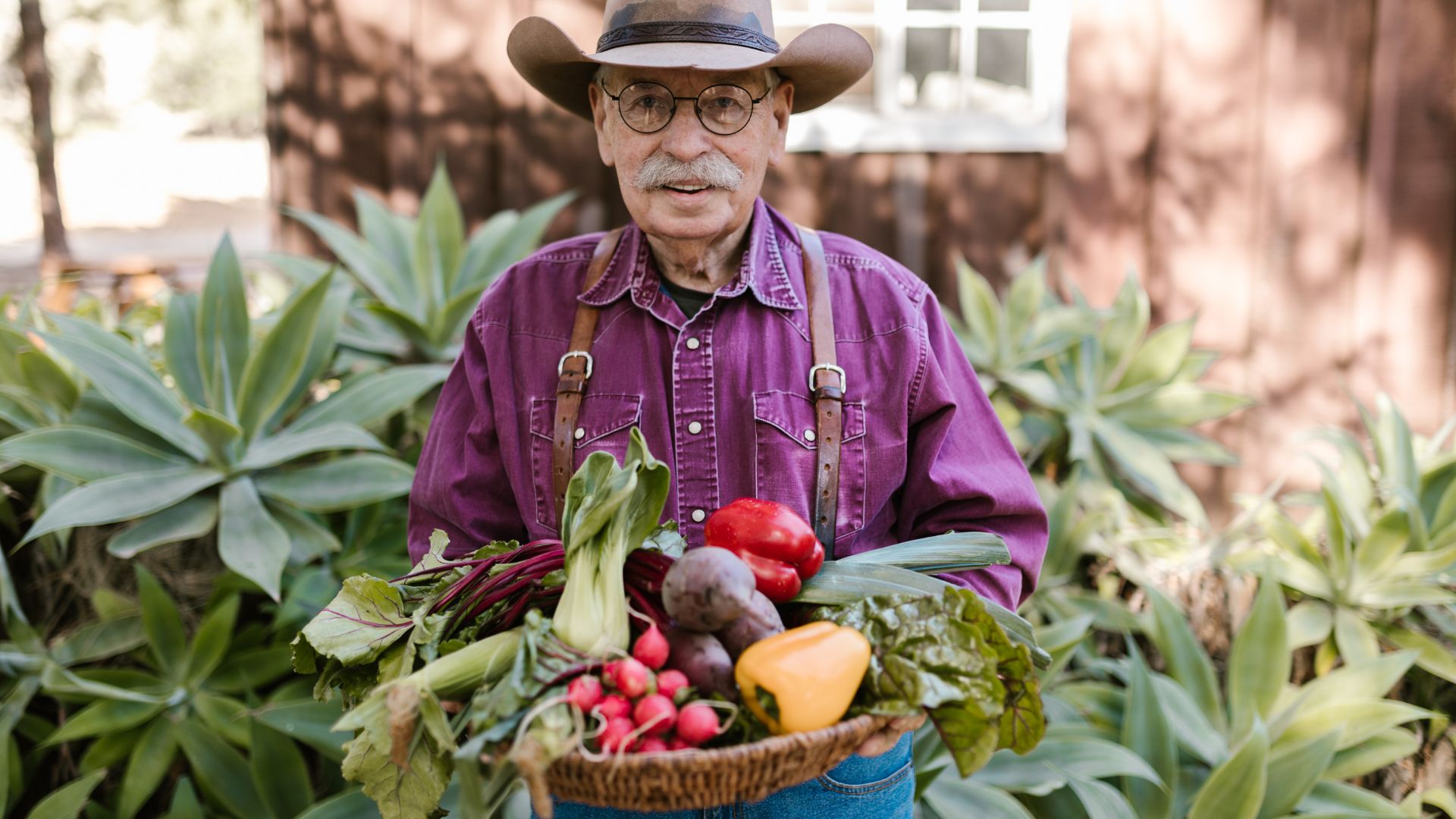 Cultivo sin Suelo: ¿Cómo la Hidroponía está Cambiando el Futuro de la Agricultura?