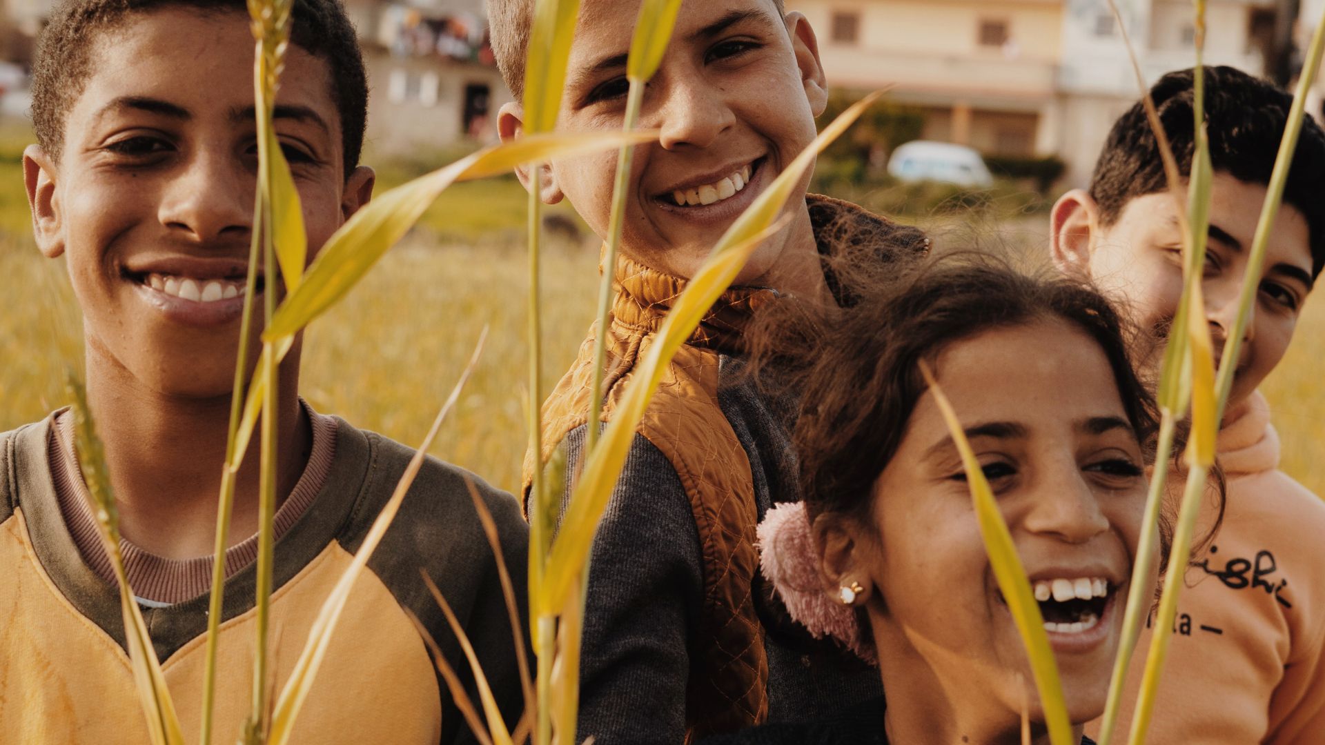 ¿Qué es el trigo y por qué deberías incluirlo en tus comidas diarias?