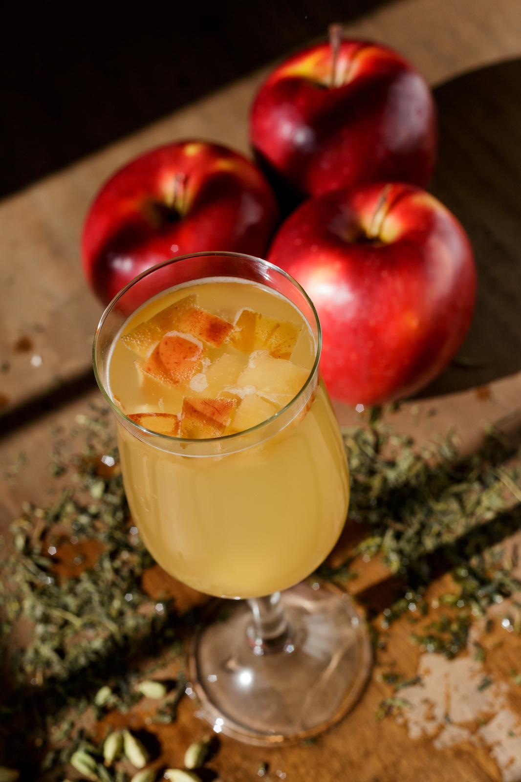 En Málaga con un Artesano de Bebidas Fermentadas: Kombucha Alquimia