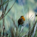 ¿Cómo Asegurar que tus Proveedores de Cosmética Cumplen con los Estándares de Sostenibilidad en tu Hotel?