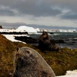 La importancia de la certificación orgánica del USDA en los productos de higiene para hoteles boutique