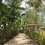 Inspiración sostenible: conoce los destinos modelo REBIORE que están cambiando la forma en que se construyen hoteles y spas