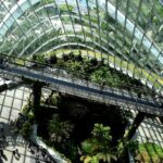 Los 15 modelos REBIORE que están transformando la industria hotelera en Emiratos Árabes Unidos