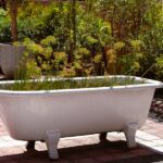 Explora el lado eco-friendly de Emiratos Árabes Unidos a través de sus experiencias wellness