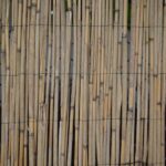 Ideas para un Baño Ecológico: Materiales Sostenibles que Debes Conocer