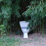 Descubre cómo crear productos de higiene ecológica para hoteles wellness