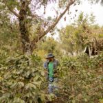 Oportunidades de negocio: Provee tus productos naturales a hoteles y spas en Costa Rica y República Dominicana