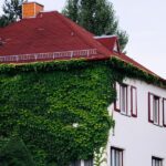 Descubre los líderes de la transición verde en Tánger: hoteles eco-premium que debes visitar