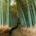 Los 5 secretos para una piel radiante: cosmética natural en los spas asiáticos