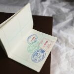 Consejos para importar suplementos naturales de República Dominicana a España: requisitos legales que no puedes pasar por alto