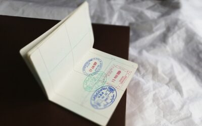 Consejos para importar suplementos naturales de República Dominicana a España: requisitos legales que no puedes pasar por alto