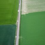 Las 5 mejores opciones verdes para creativos según el ranking actualizado